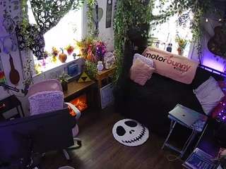 voyeurcam veccasalt 01