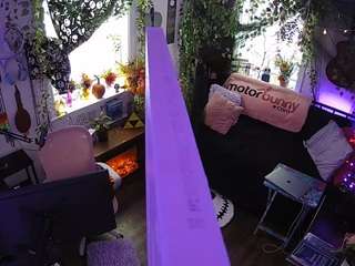 voyeurcam veccasalt 01