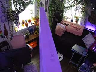 voyeurcam veccasalt 01