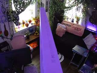 voyeurcam veccasalt 01