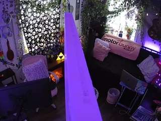 voyeurcam-veccasalt-01