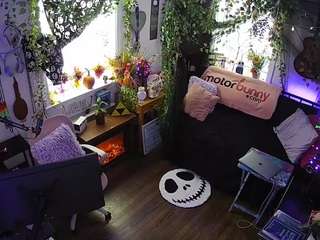 voyeurcam veccasalt 01