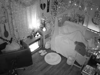 voyeurcam veccasalt 01