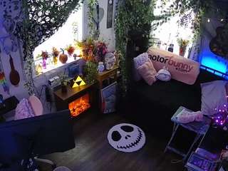 voyeurcam veccasalt 01