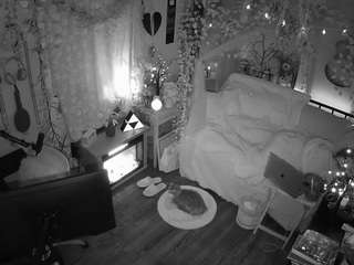 voyeurcam veccasalt 01