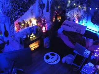 voyeurcam-veccasalt-01 chat