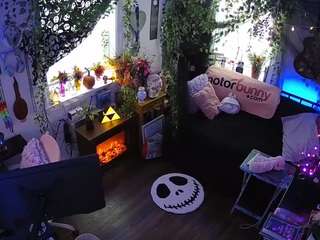 voyeurcam-veccasalt-01 chat