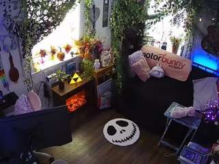 voyeurcam-veccasalt-01 camsoda