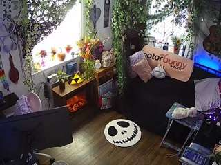 voyeurcam veccasalt 01