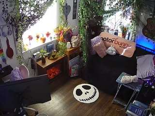 voyeurcam-veccasalt-01 chat