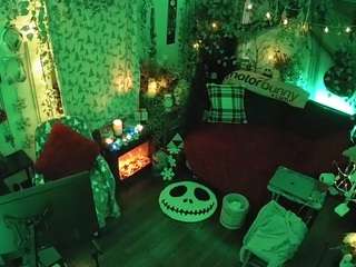 voyeurcam-veccasalt-01