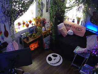 voyeurcam-veccasalt-01 chat