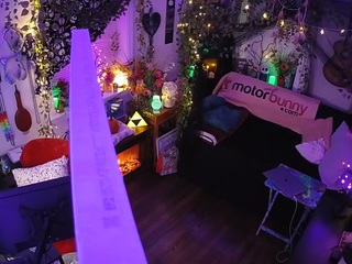 voyeurcam-veccasalt-01