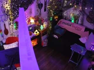 voyeurcam-veccasalt-01