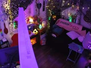 voyeurcam-veccasalt-01