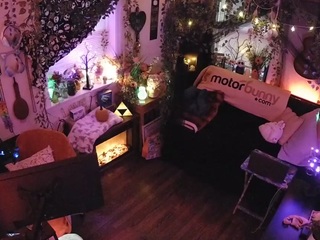 voyeurcam-veccasalt-01 chat