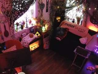 voyeurcam-veccasalt-01 chat