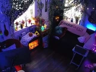 voyeurcam-veccasalt-01 chat