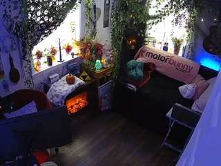 voyeurcam-veccasalt-... webcam