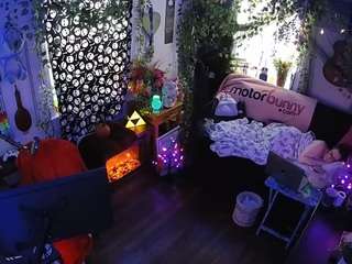 voyeurcam veccasalt 01