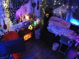 voyeurcam-veccasalt-01 chat