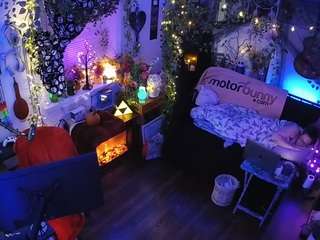 voyeurcam-veccasalt-01 chat