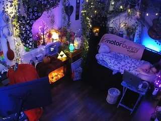 voyeurcam-veccasalt-01 chat