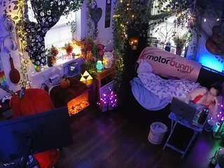 voyeurcam-veccasalt-01 chat