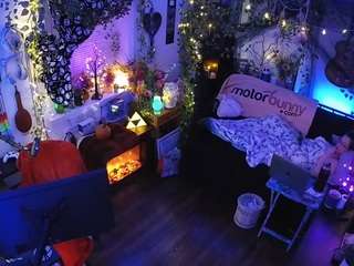 voyeurcam-veccasalt-01 chat