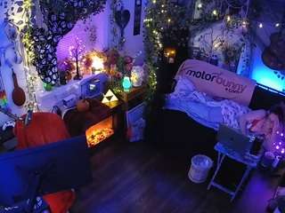 voyeurcam-veccasalt-01 chat