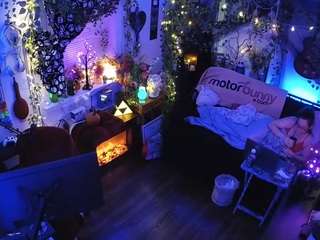 voyeurcam-veccasalt-01 chat