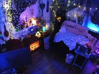 voyeurcam-veccasalt-01 chat