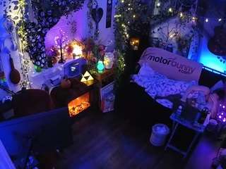 voyeurcam-veccasalt-01 chat