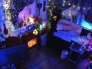 voyeurcam-veccasalt-01 chat