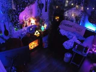 voyeurcam-veccasalt-01 chat