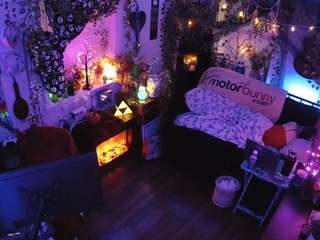 voyeurcam-veccasalt-01 chat