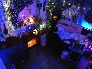 voyeurcam-veccasalt-01 chat