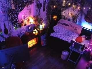 voyeurcam-veccasalt-01 chat