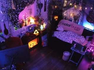 voyeurcam-veccasalt-01 chat