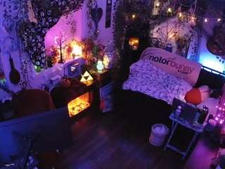 voyeurcam veccasalt 01