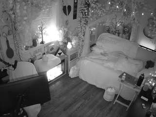 voyeurcam-veccasalt-01 chat