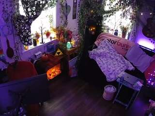 voyeurcam veccasalt 01