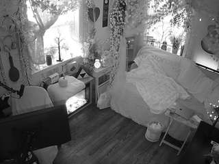 voyeurcam-veccasalt-01 chat