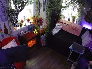 voyeurcam-veccasalt-01 chat