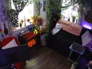 voyeurcam veccasalt 01