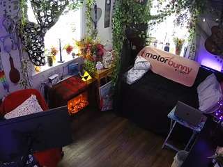 voyeurcam veccasalt 01