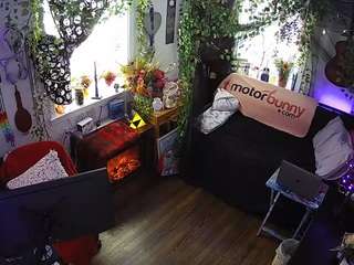 voyeurcam veccasalt 01