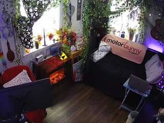 voyeurcam veccasalt 01