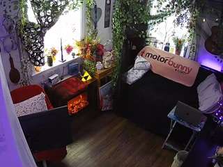 voyeurcam veccasalt 01