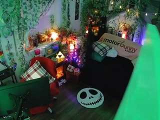 voyeurcam veccasalt 01